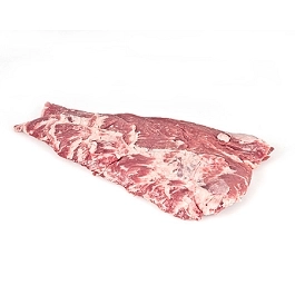 Pluma Ibérica