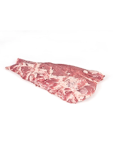 Pluma Ibérica Pluma Ibérica